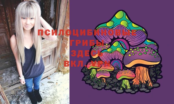 мдма Белокуриха